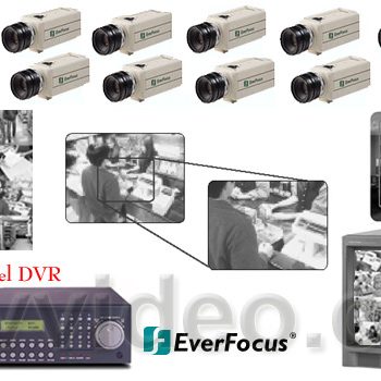 ***NEW*** EVERFOCUS DIGITAL COMPLETE 16 CAMERA B&W HIGH-RES SYSTEM