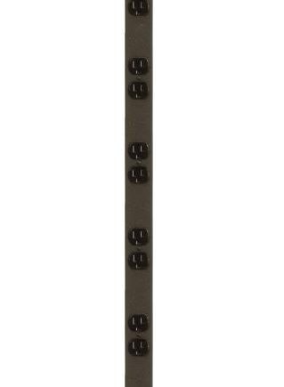 Peerless PDU6620N-15-120P1-1510NSP Vertical Surge Protection