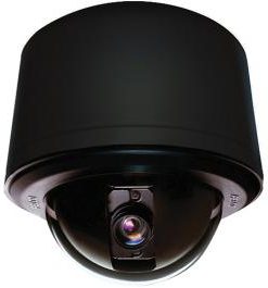 Pelco SD429-PB-1 Spectra Clear Pendant Dome Camera, 29x (Black, NTSC)