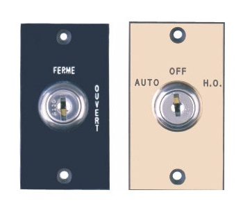 Camden Door Controls CM-160-20 Key Switch with Plastic Lamacoid (mini) Faceplate, 2 Position Switch, Momentary, ‘Off’/’Open’