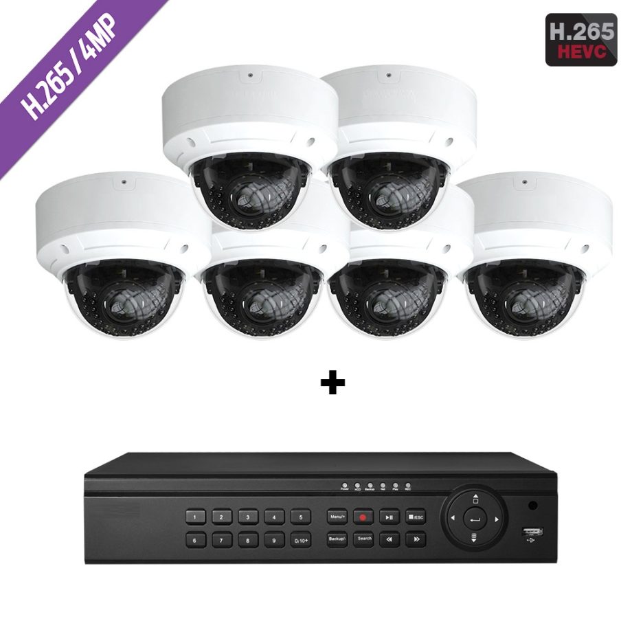 Cantek Plus CTPK-NH41V6-4T  8 Channel NVR, 2TB with 6 x 4MP H.265 Outdoor Dome Cameras