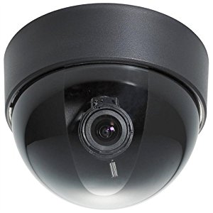 Everfocus ED300/NB 480 TVL Varifocal 1/4″ High Resolution Color Dome Camera
