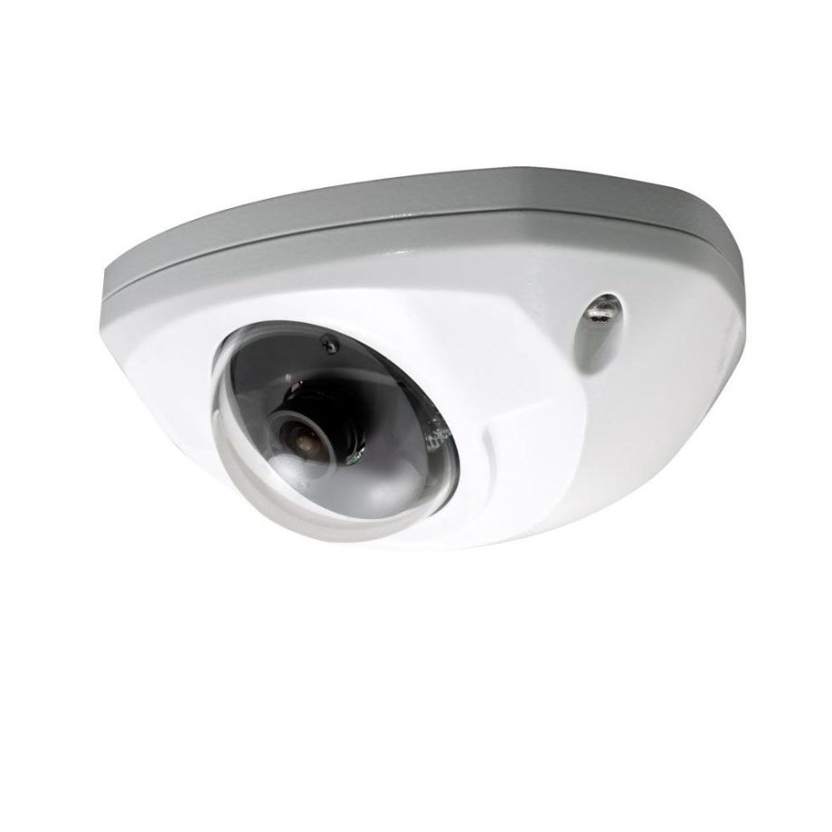 Speco HINT81H 700 TVL Intensifier H Indoor/Outdoor Wedge Camera, 3.6mm Lens