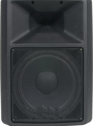 Bosch SX100+E 12″ Passive Loudspeaker, Black