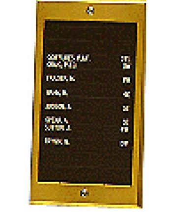 Alpha VIP010DBR 10 Name Directory Unit, Brass