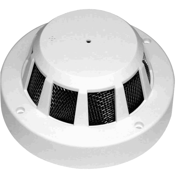 CTP-TF19TMS.png