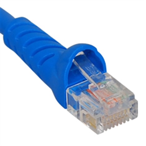 ICPCSJ05BL.jpg