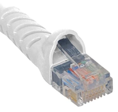 ICPCSJ25WH.jpg