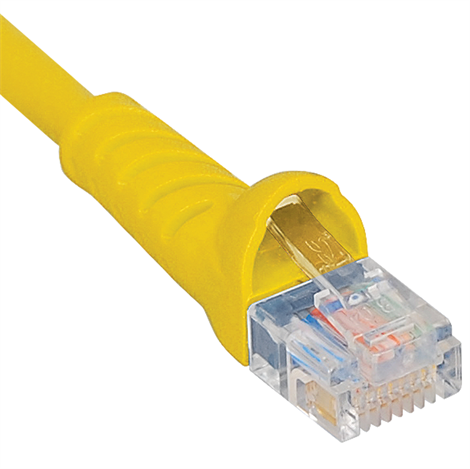 ICPCSK25YL.png
