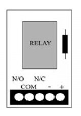 IRP-1.jpg