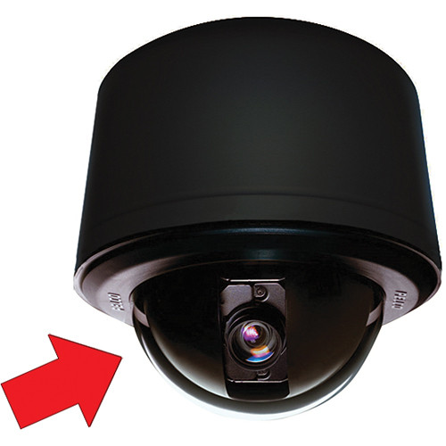 LD53PB-1.jpg