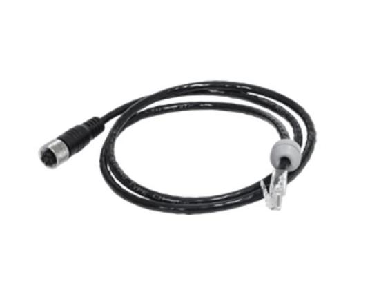 ao-002.jpg