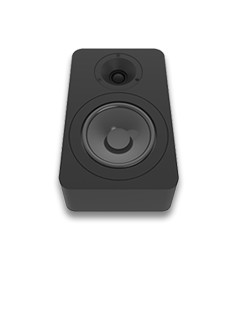 Linear LDA5 One Pair of Dolby Atmos Cabinet Speaker with 5 1/4" Graphite Woofers